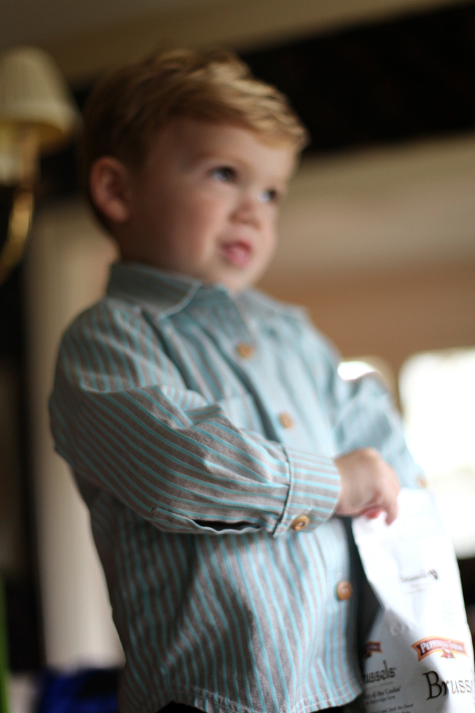 boys designer oxford shirt