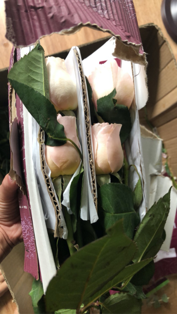 wholesale garden roses DIY wedding