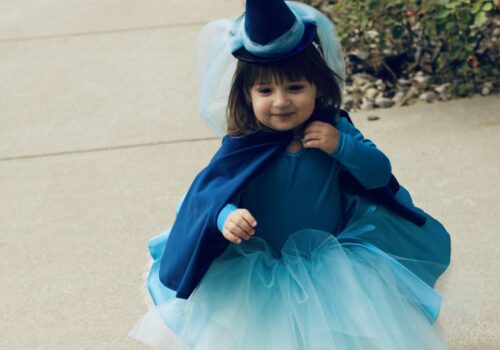 blue fairy sleeping beauty costume